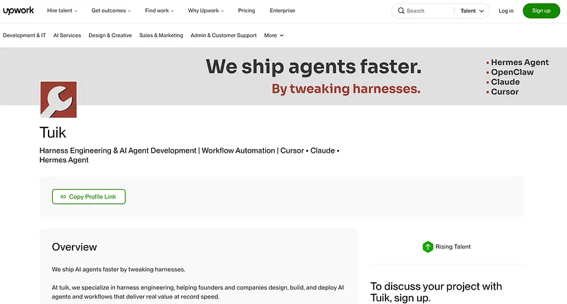 Tuik’s agency on Upwork