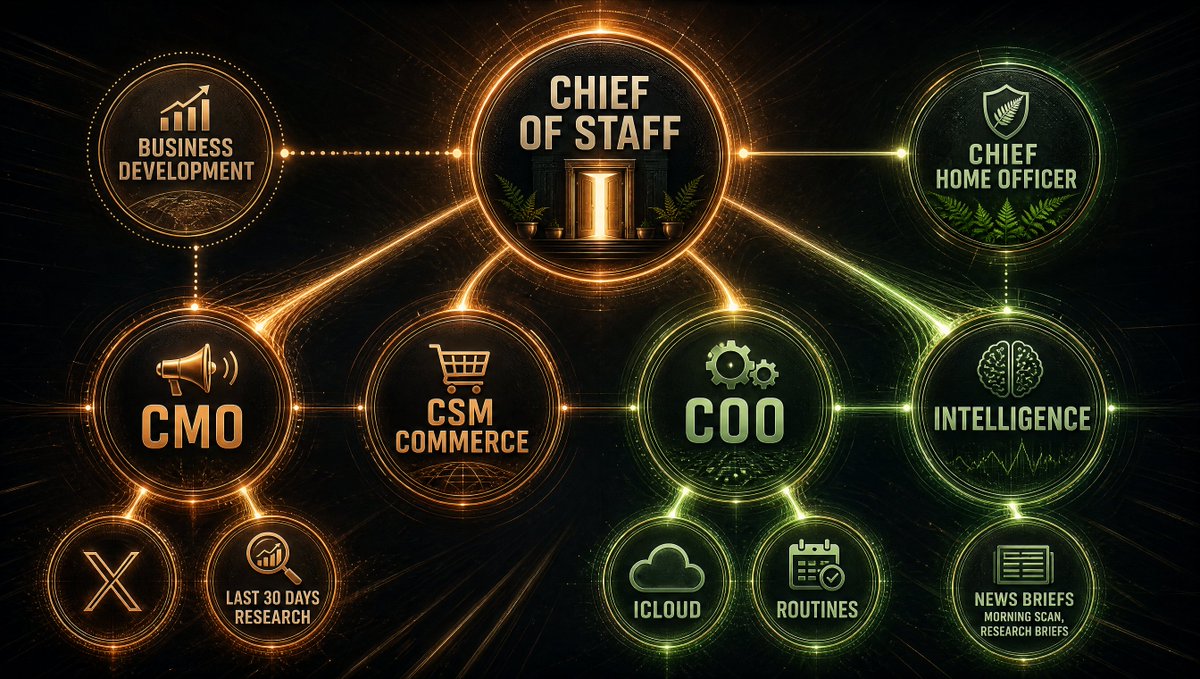 My current organisation